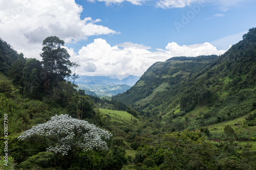 Randonnée autour de Jardín, Antioquia, Colombie