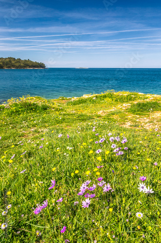 Green lagoon sea bay in Porec, flowers on a green meadow in foreground, Croatia - Istria, Europe. © Viliam