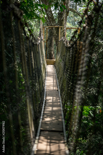 rope bridge