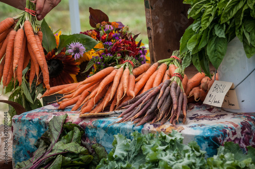 Carrots for sale at a farm stand photo