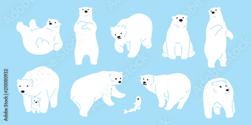 Bear vector polar Bear icon logo illustration character doodle white