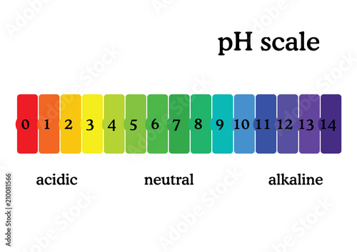 pH scale diagram with corresponding acidic or alcaline values. Universal pH indicator paper color chart.