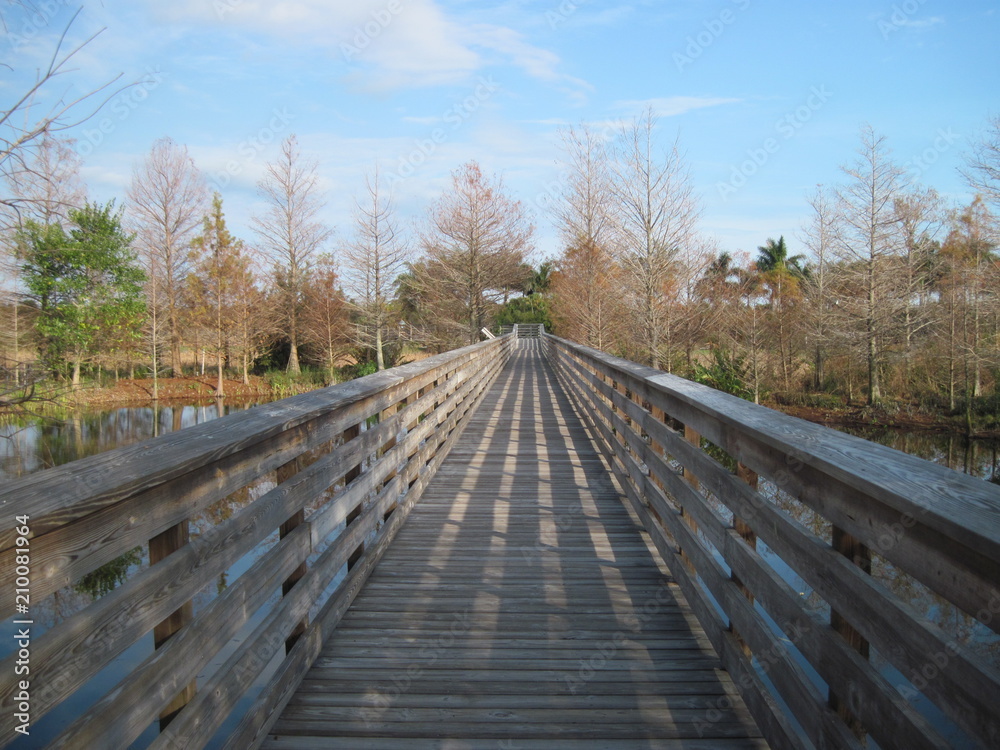 Wooden Walkway to a Vanishing Point