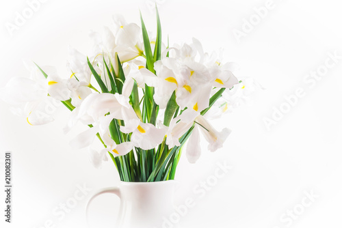 Beautiful White Iris Flowers in the Vase