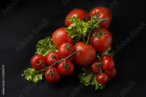 Fresh vegetables on a black background. Fresh tomatoes with greens on a black background