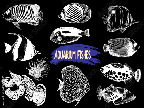 Set of hand drawn sketch style tropical fish isolated on black background. Vector illustration.