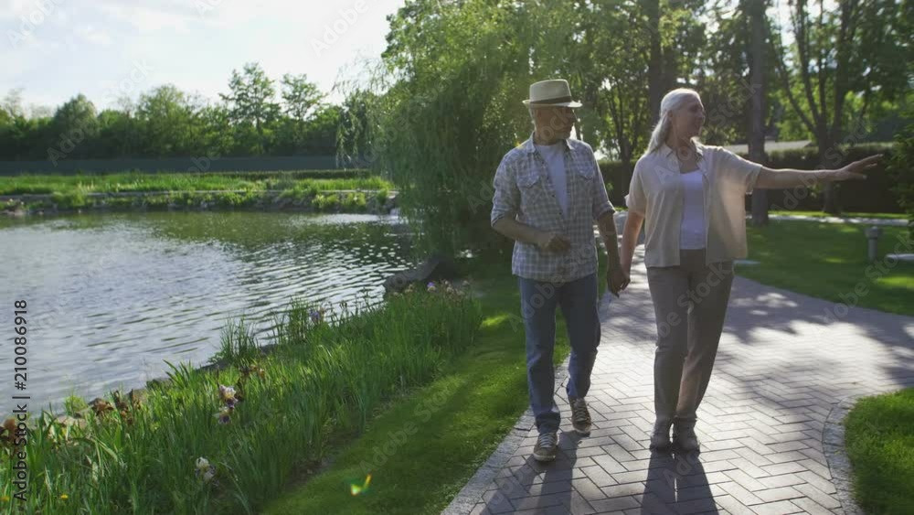 Beautiful senior married couple taking a walk in green summer park ...