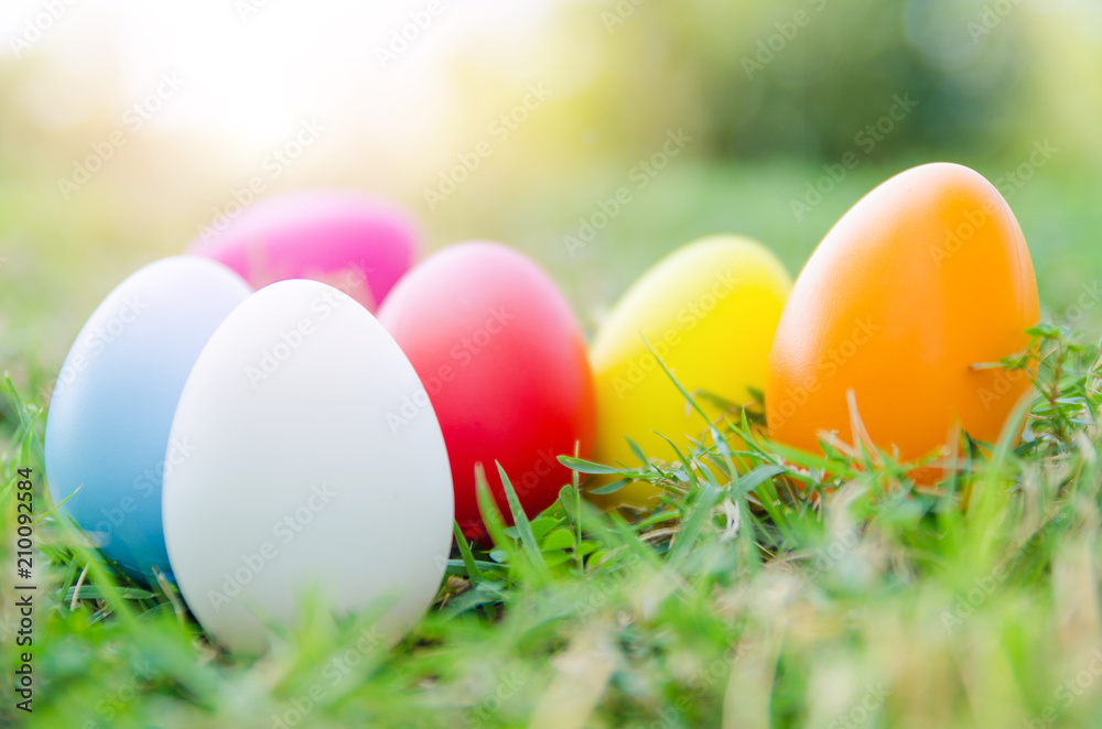 Easter eggs in grass against blurred green background. Spring holidays concept