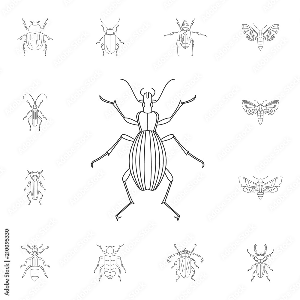 Beetle icon. Simple element illustration. Beetle symbol design from Insect collection set. Can be used for web and mobile Beetle icon. Simple element illustration. Beetle symbol design from Insect collection set. Can be used for web and mobile