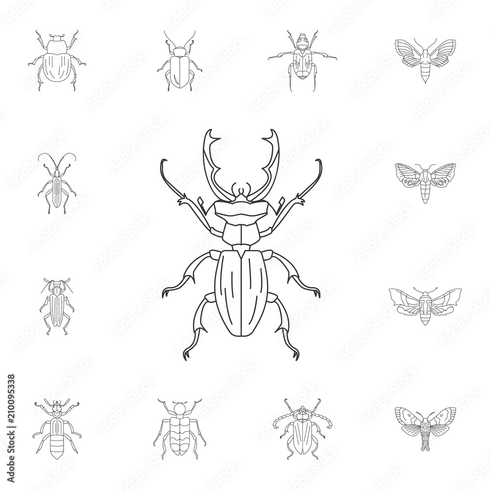 Beetle icon. Simple element illustration. Beetle symbol design from Insect collection set. Can be used for web and mobile