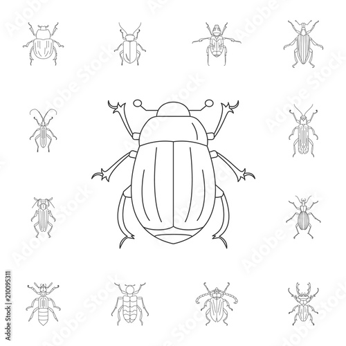Beetle icon. Simple element illustration. Beetle symbol design from Insect collection set. Can be used for web and mobile © shams89