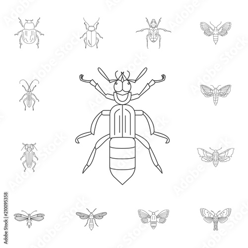 Beetle icon. Simple element illustration. Beetle symbol design from Insect collection set. Can be used for web and mobile © shams89