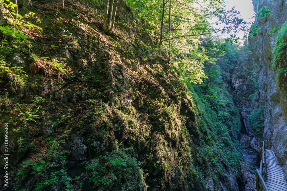 Fototapeta premium Dr. Vogelgesang Klamm