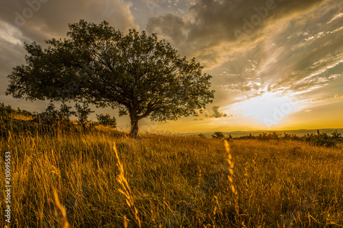 Soir d'été sur le Larzac