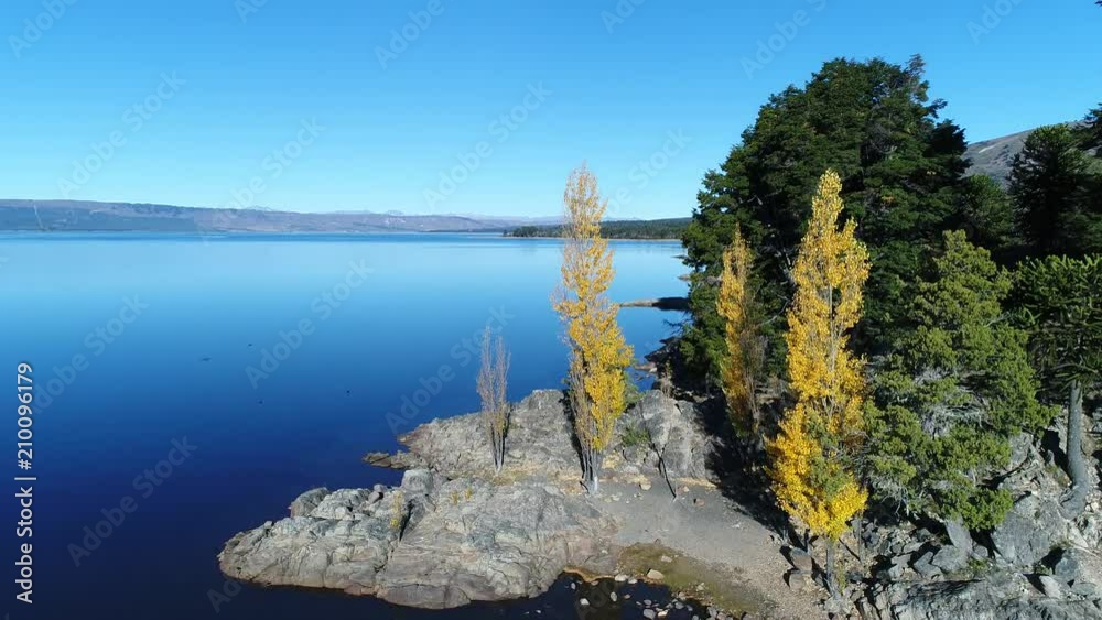Aerial drone scene Alumine lake. Camera ascends from rocky coast to high point of view of bays. Mapuche area, touristic zone of five lagoons in villa pehuenia. Neuquen, Patagonia
