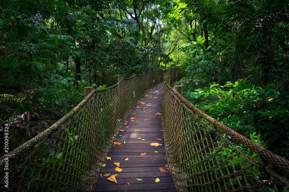 Obraz premium Most linowy i chodnik w Singapurze Jungle Wetland