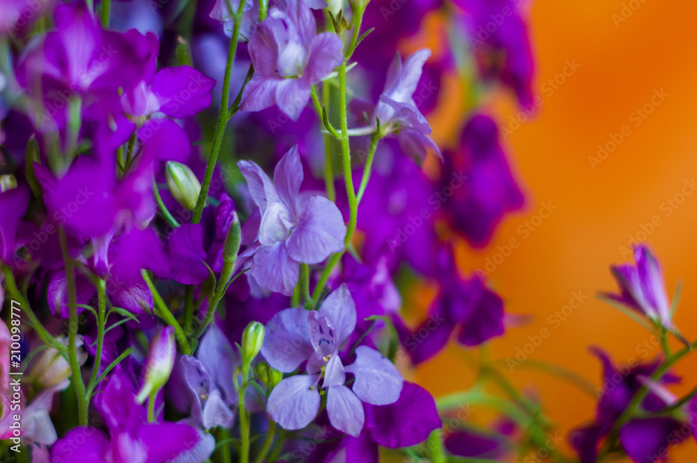 Fototapeta premium a bouquet of bright spring flowers of various types