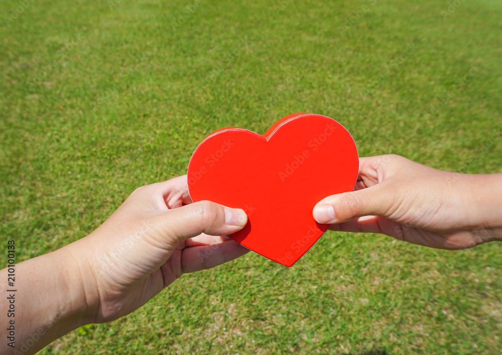 Hold heart mark with children's hand and adult hand. 子供の手と大人の手でハートマークを握る 芝生背景 Hold heart mark with children's hand and adult hand. 子供の手と大人の手でハートマークを握る 芝生背景