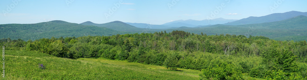 panoramic landscape of green mountain and forest
