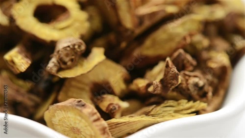 Chinese herb medicine of Scutellaria or Baical Skullcap Root rotating close up photo