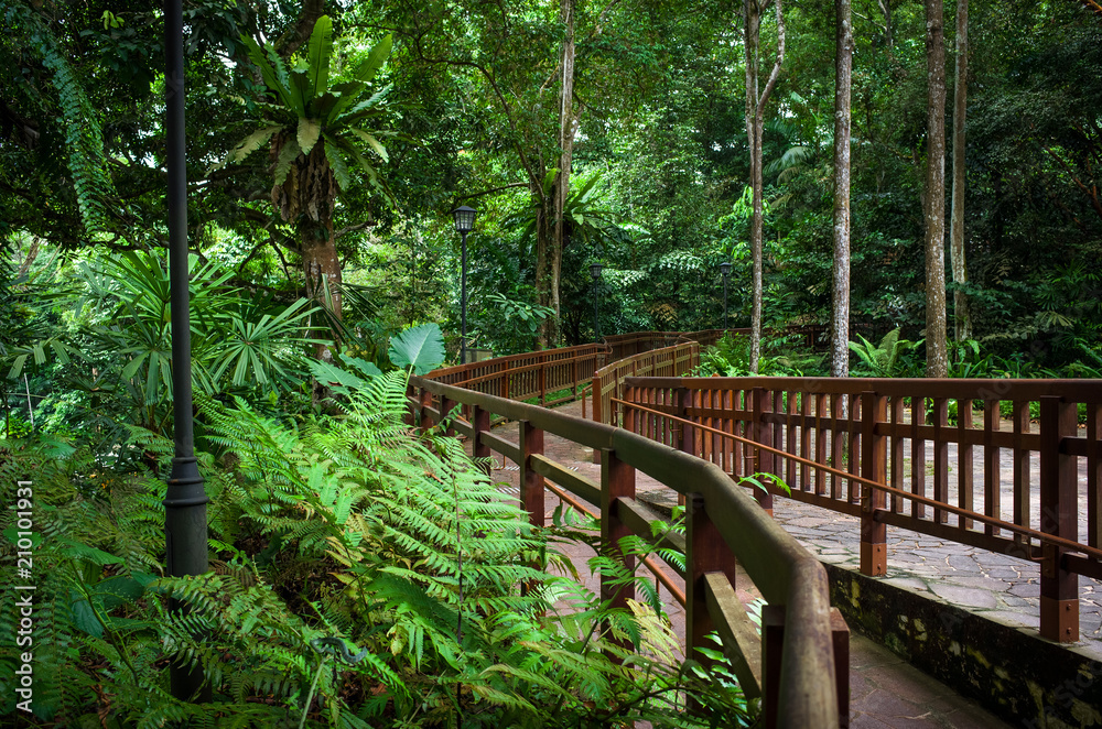 Samolepka Bukit Timah Handrail and Hiking Path Through Singapore Jungle