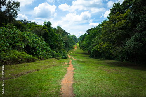 Dirt Mountain Biking Trail Through Green Corridor in Singapore