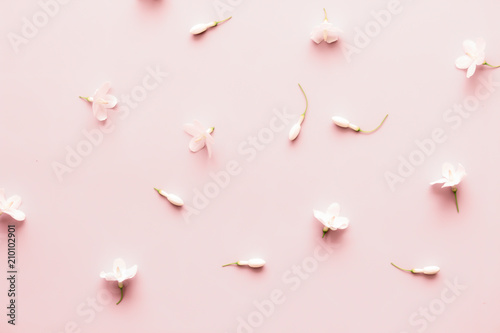 White flowers on soft pink background flatlay style. Natural floral wallpaper. Wrightia religiosa Benth