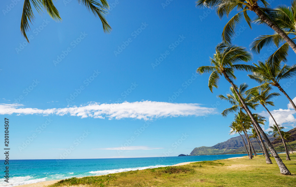 Hawaiian beach