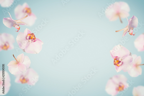 Fototapeta Naklejka Na Ścianę i Meble -  Blue tropical summer background with falling orchids flowers