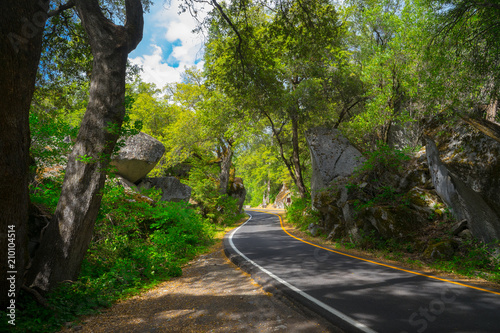 Forest Boulders and Shade Trees Along El Portal Entrance in Yosemite National Park photo