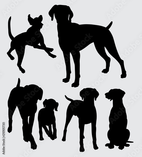 Viszla dog animal silhouette