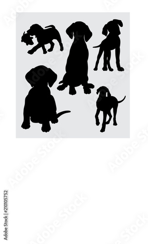 funny and cute dog silhouette