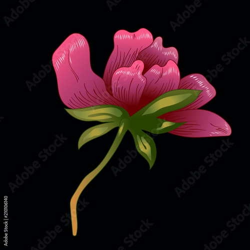 Pink peony flower in a vector style isolated. Full name of the plant: peony. Vector flower for background, texture, wrapper pattern, frame or border.