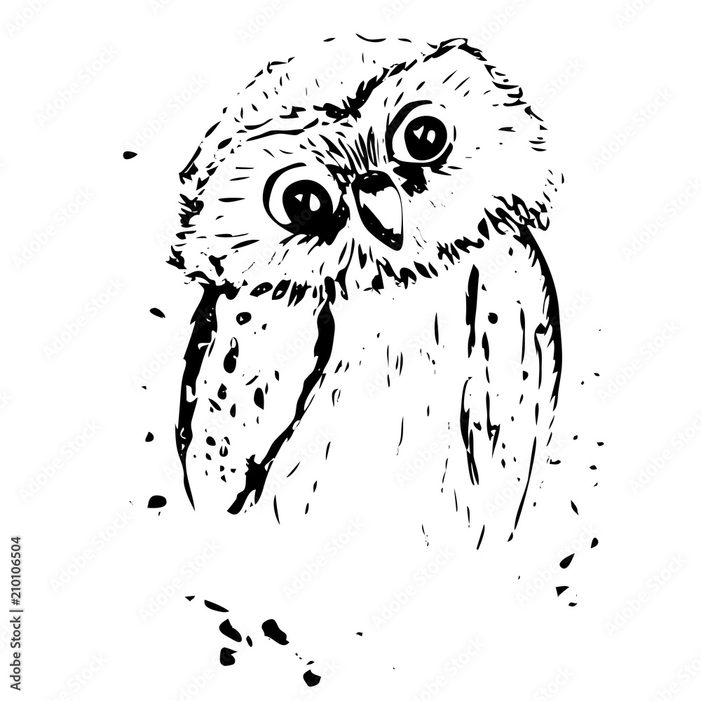 Kawaii Chibi Owl Clipart · Creative Fabrica
