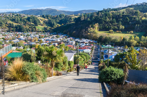 Baldwin Street which is located in Dunedin,New Zealand is the world steepest street in the world. photo