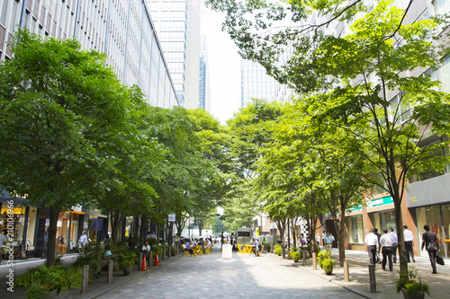 Cityscape  of Marunouchi town photo