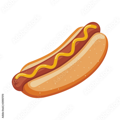 Hotdog illustration vector
