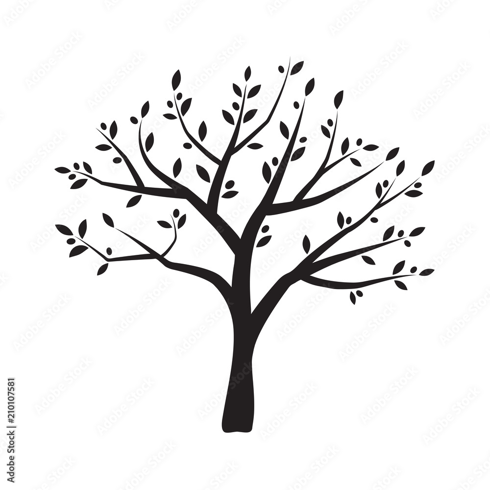 Fototapeta premium Vector olive tree silhouette