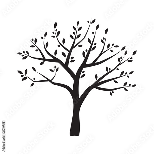Vector olive tree silhouette