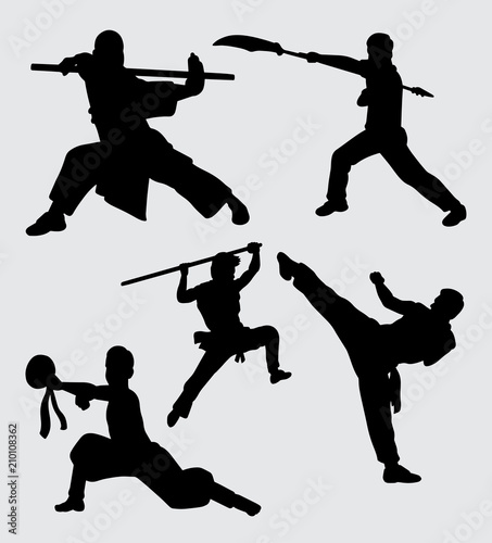 Martial art silhouette