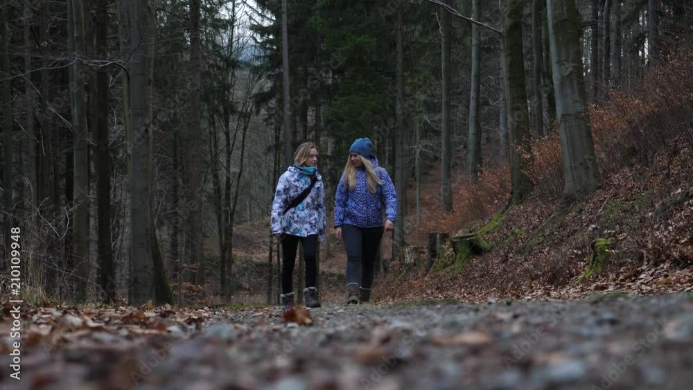 Ladies girls friends walking hiking the nature forest part trail in Poland winter time communicating Ladies girls friends walking hiking the nature forest part trail in Poland winter time communicating