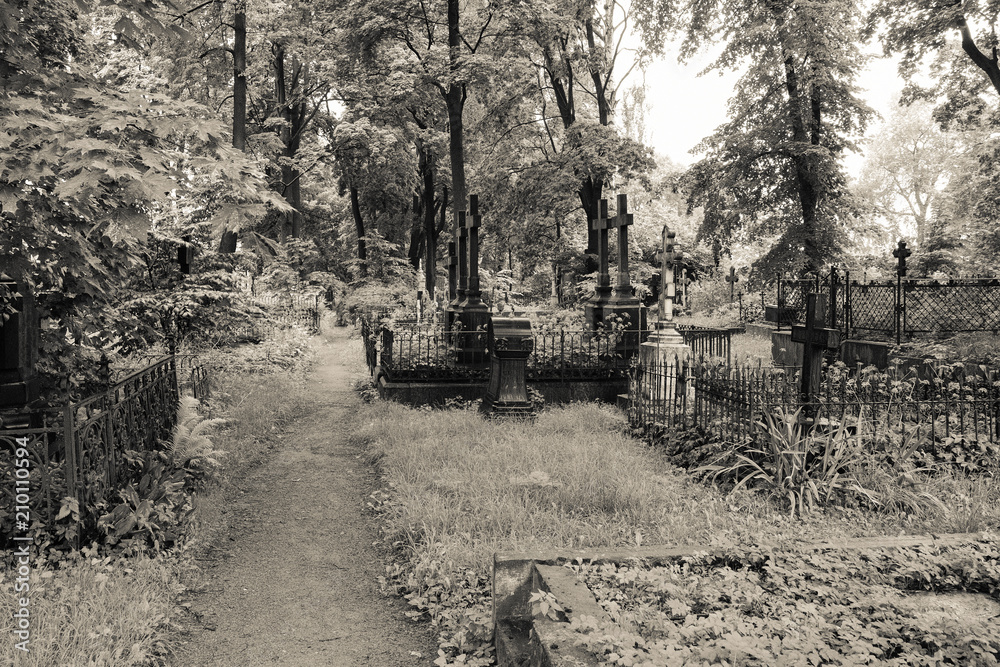 Walkway through abandoned cemetery between graves and tombs.