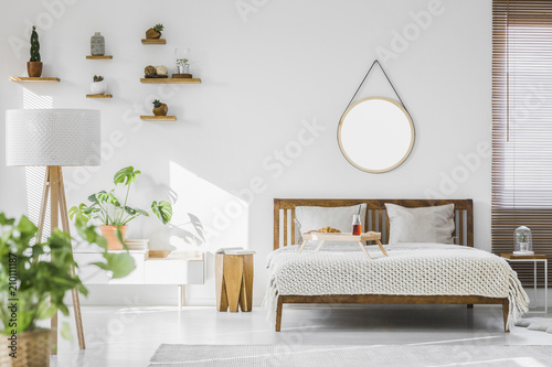 A white, sunlit hotel bedroom interior with monstera deliciosa plant, cacti on shelves and a round mirror above a rustic, wooden double bed frame photo