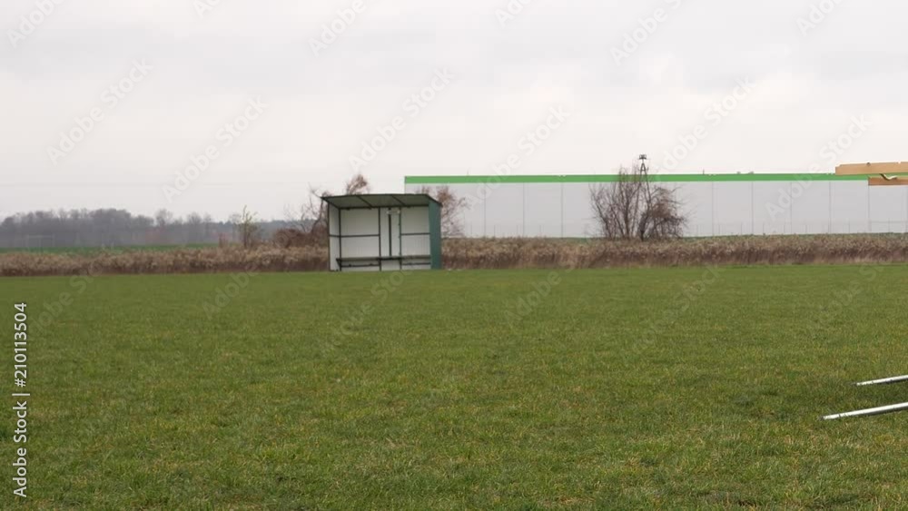 Sheepdog dog run and jump over the barrier during training on green grass outdoors Sheepdog dog run and jump over the barrier during training on green grass outdoors