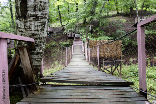 old wooden bridge in deep forest  natural vintage background