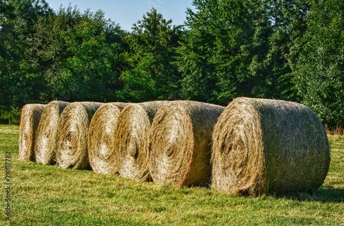 Heuballen