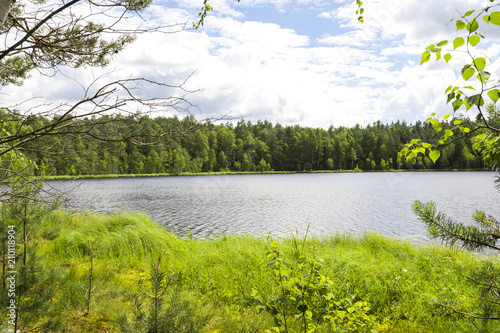 Fototapeta Naklejka Na Ścianę i Meble -  Forest lake in a midland of Europe