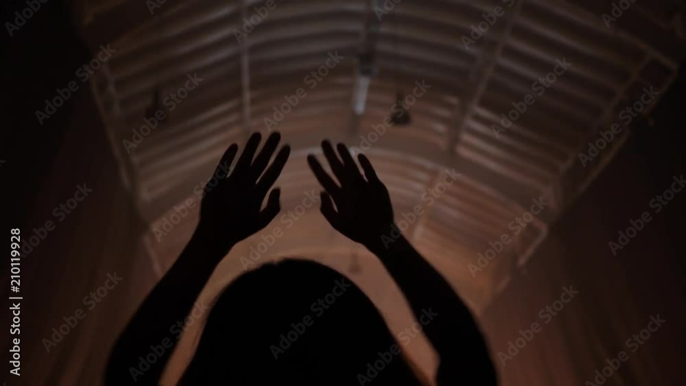 Spectator fan girl silhouette dance raise hands enjoy listen to music concert in light lumiere