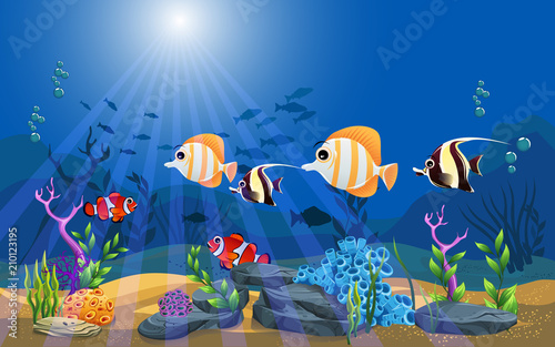 marine habitats and the beauty of coral. There are anemones, fish and reefs.