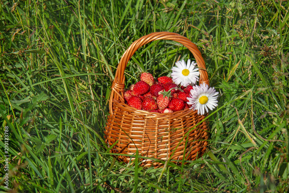 Basket with strawberries and flowers